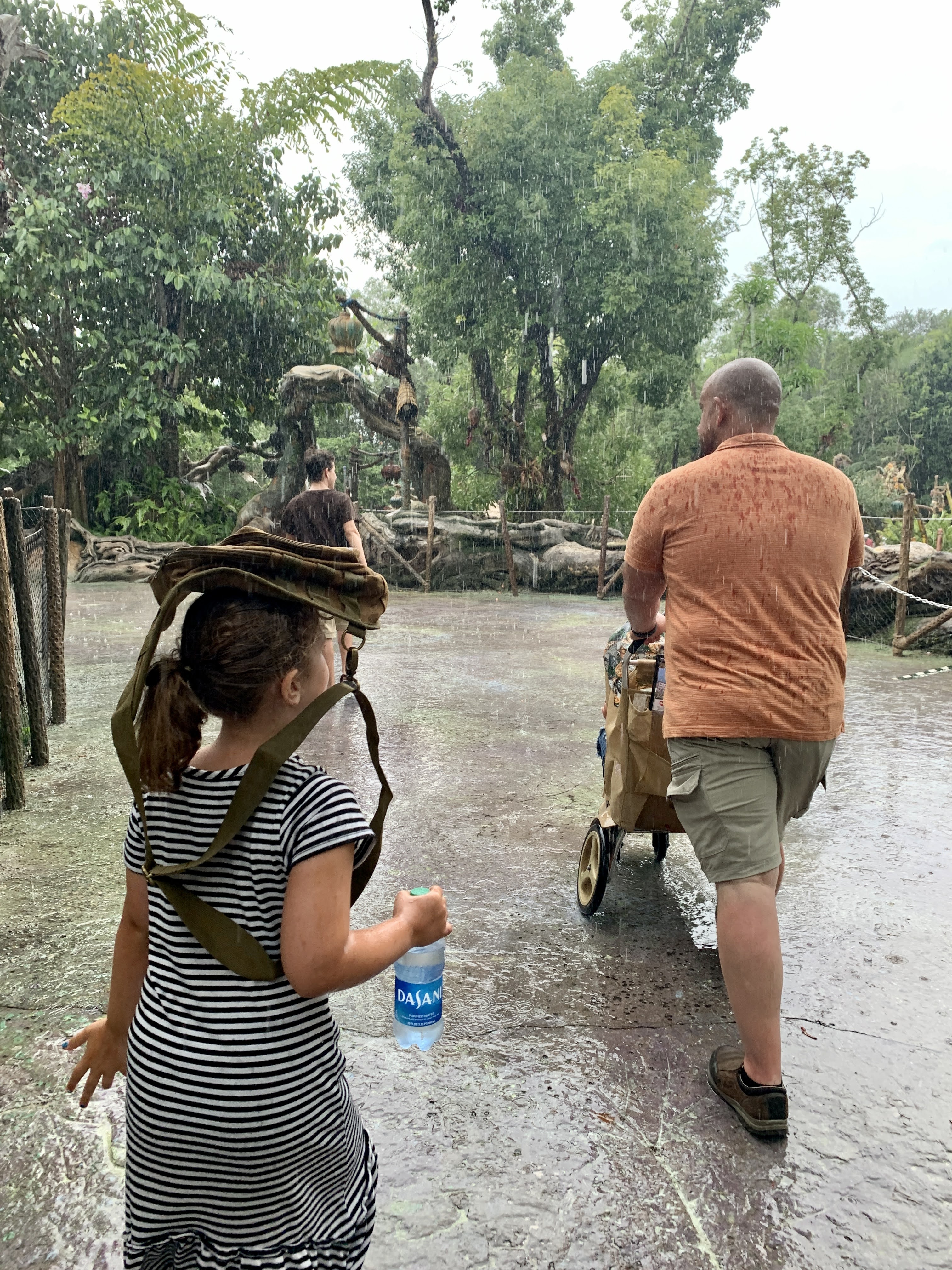 Animal Kingdom